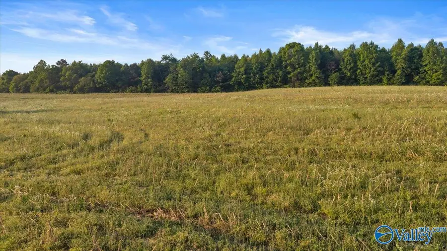 20+/- Alabama Highway 71, Dutton, AL 35744 - #2