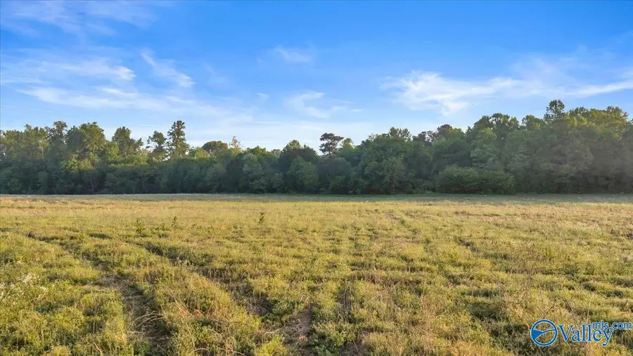 20+/- Alabama Highway 71, Dutton, AL 35744 - #3