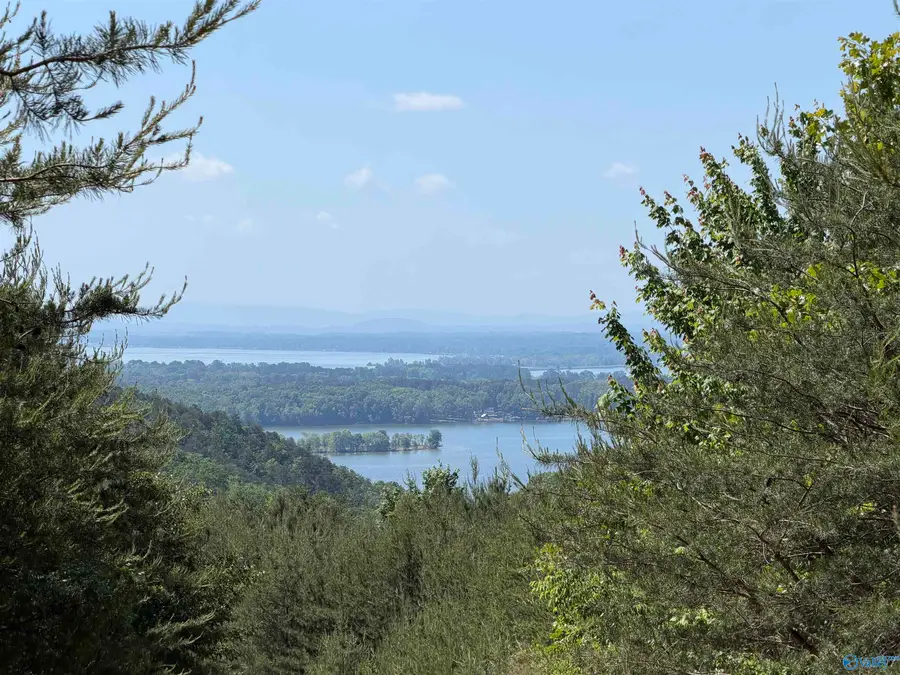 122 County Road 75, Cedar Bluff, AL 35959 - #2