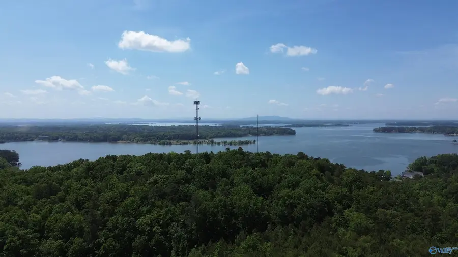 122 County Road 75, Cedar Bluff, AL 35959 - #3