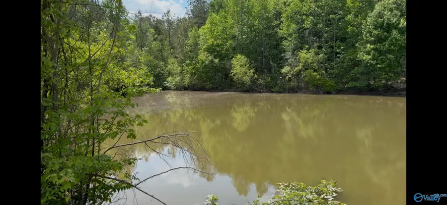 157 County Road 144, Gaylesville, AL 35973 - #2
