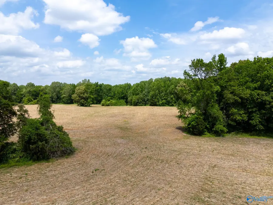 42.5 South Road, Athens, AL 35613 - #2