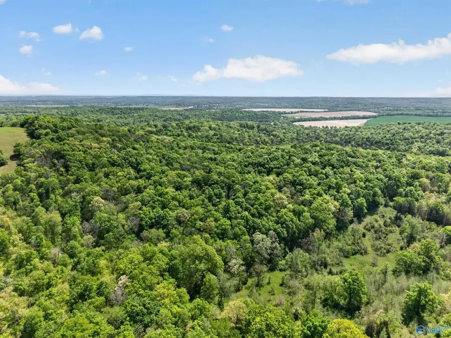 475 Old Elkton Pike, Fayetteville, TN 37334 - #2