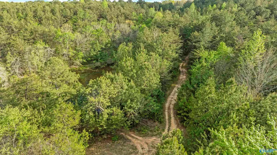 Tract 2 Road 9002, Mentone, AL 35984 - #2