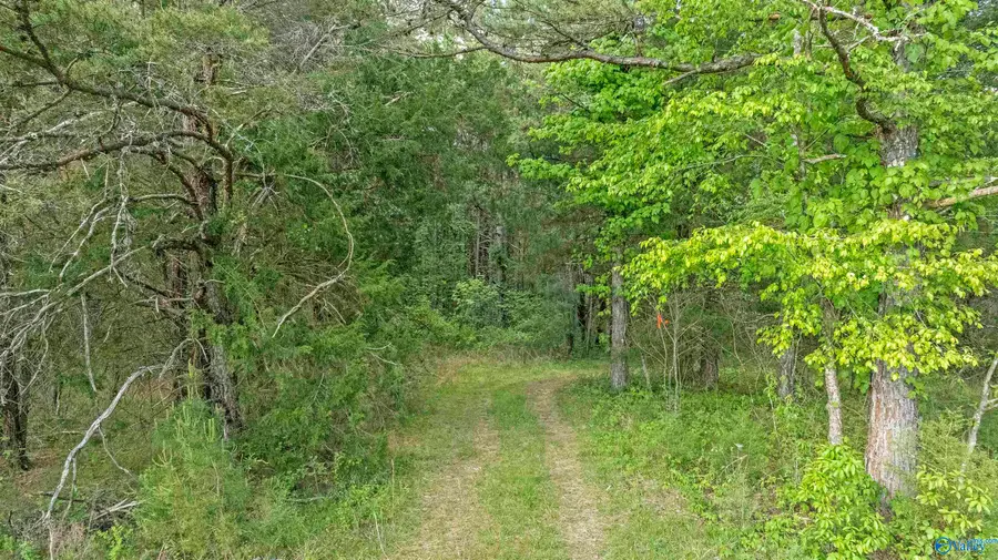 Tract 2 Road 9002, Mentone, AL 35984 - #3