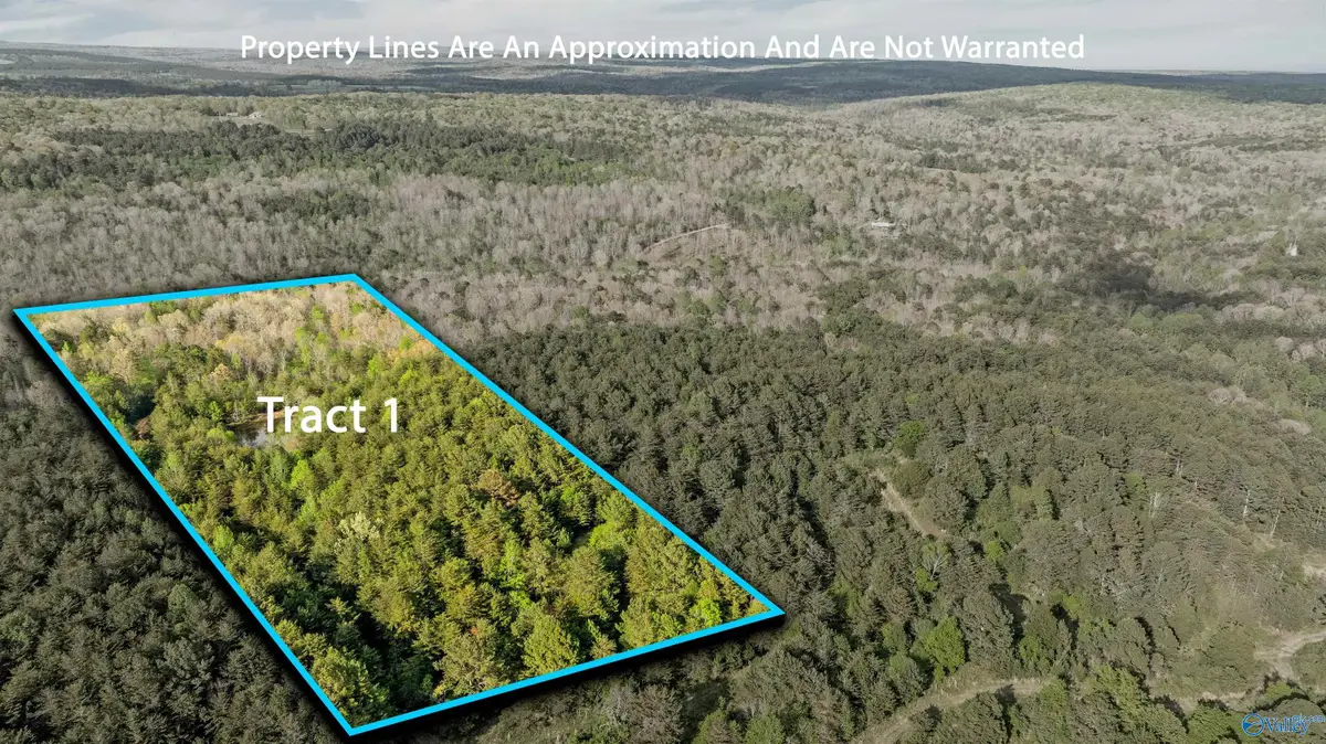 Tract 1 Road 9002, Mentone, AL 35984 - #1