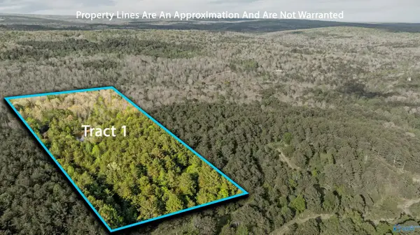 Tract 1 Road 9002, Mentone, AL 35984