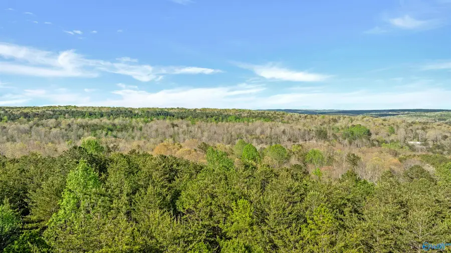 Tract 1 Road 9002, Mentone, AL 35984 - #3