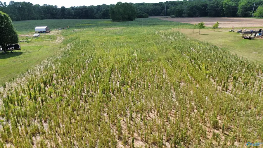 1.24 Acres Reid Road, Athens, AL 35611 - #3