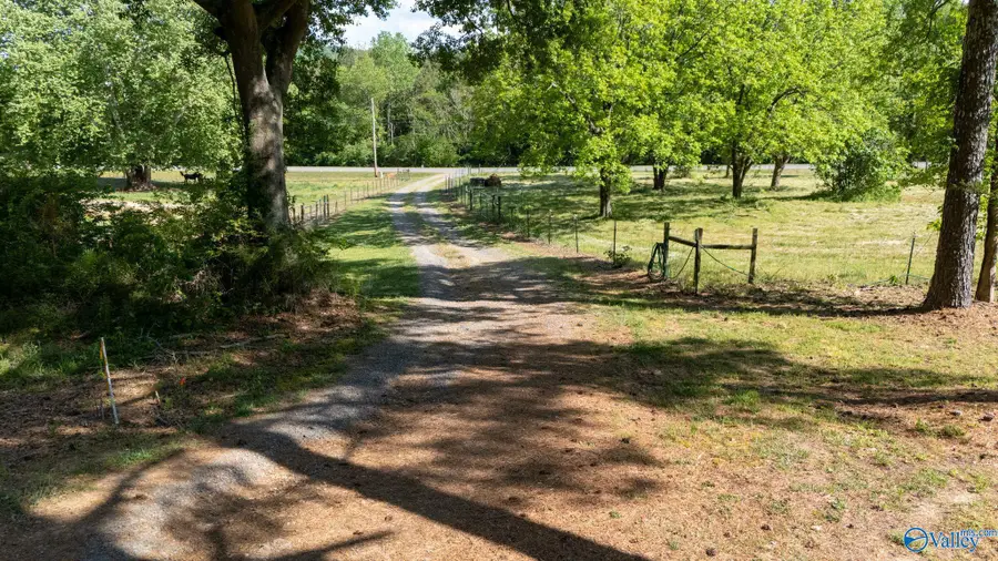 1295 South Sauty Road, Langston, AL 35755 - #3