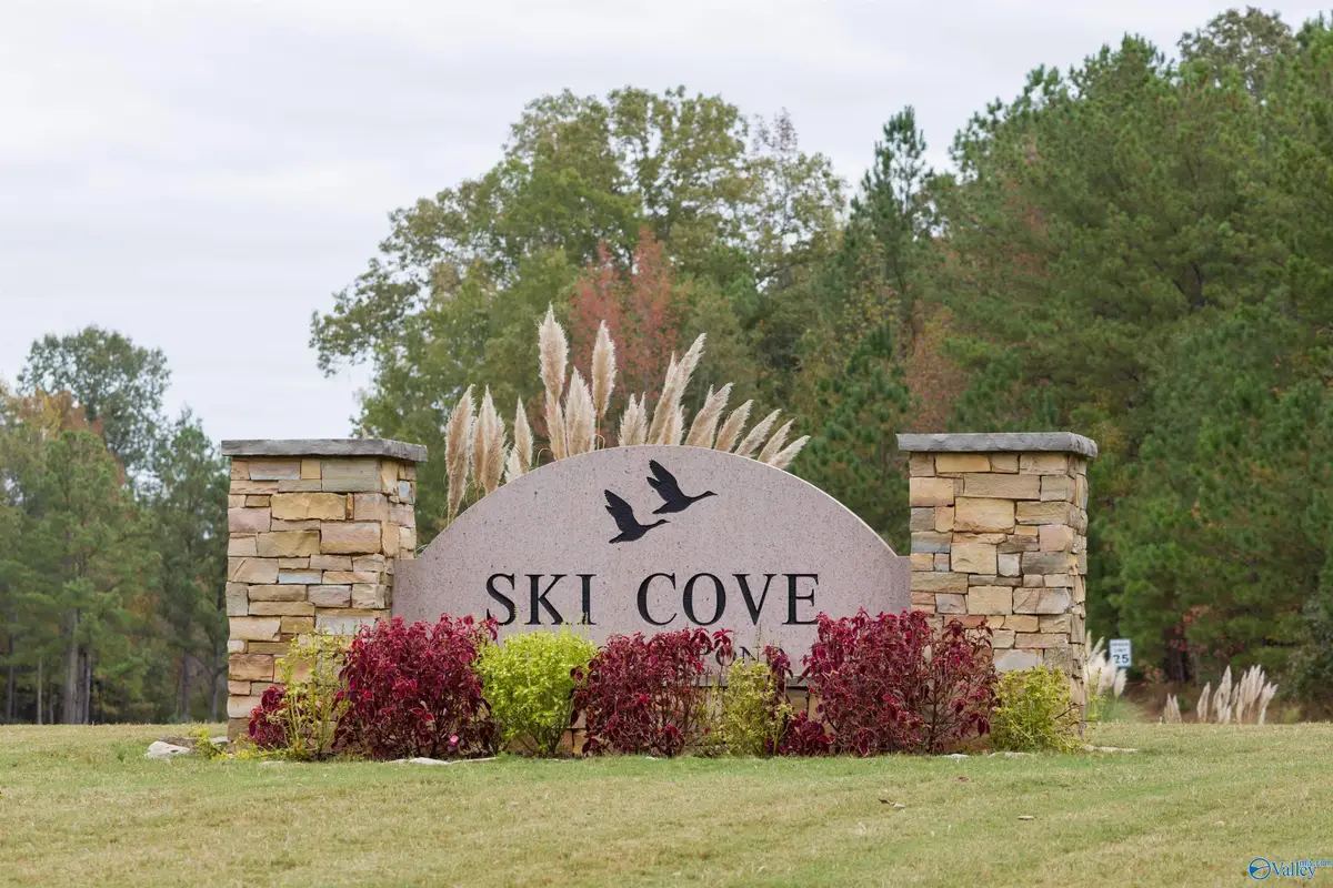 Lot 30 Ski Cove Drive, Scottsboro, AL 35769 - #1