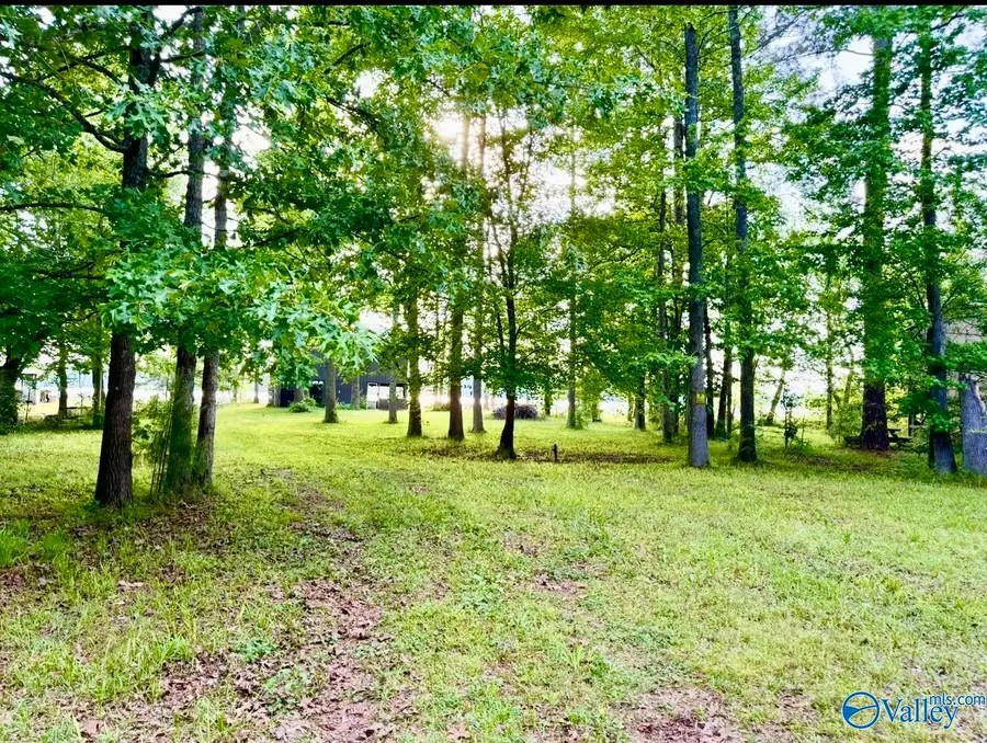 2005 County Road 1011, Centre, AL 35960 - #3