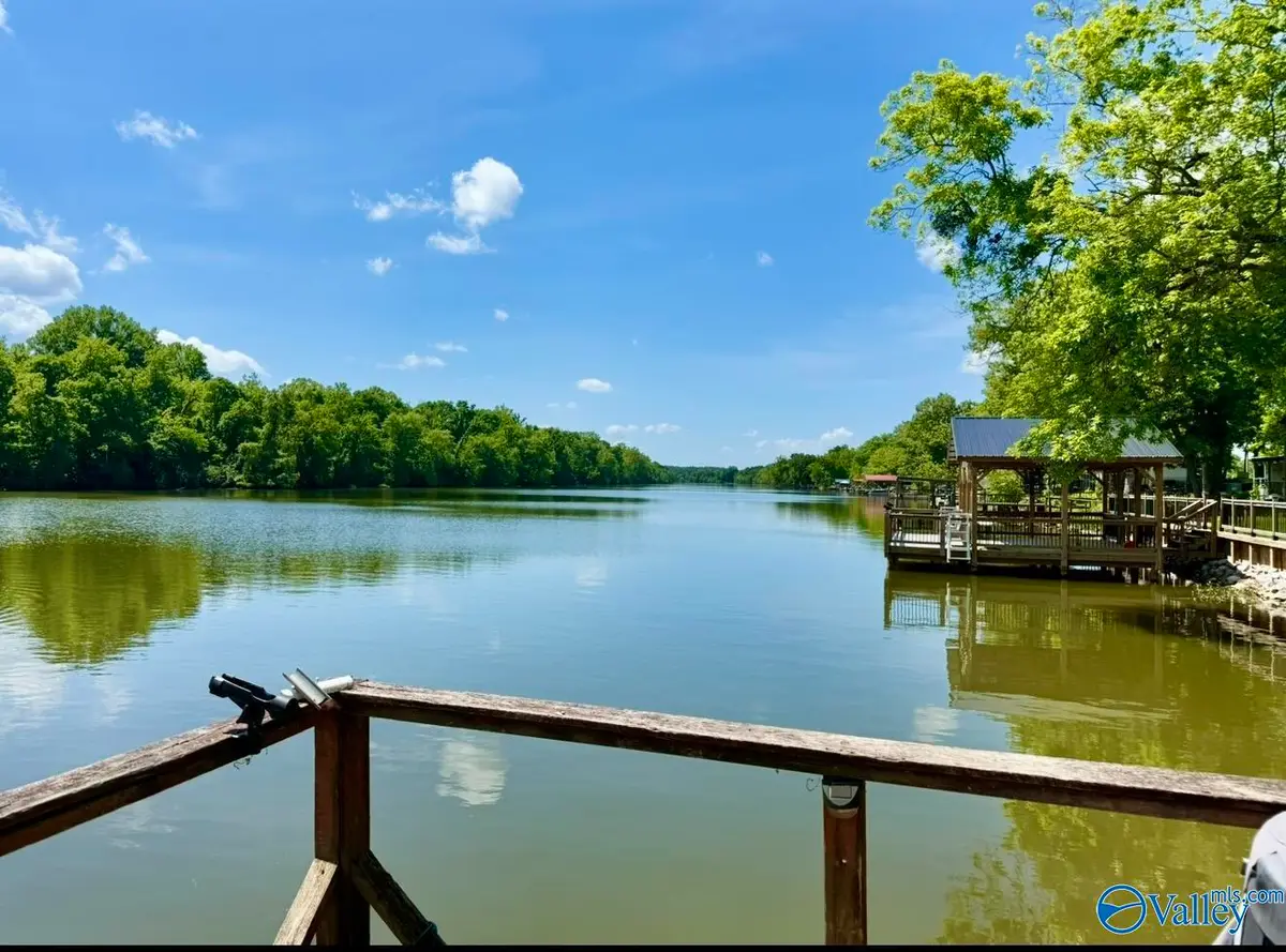 9 County Road 1008, Cedar Bluff, AL 35959 - #1