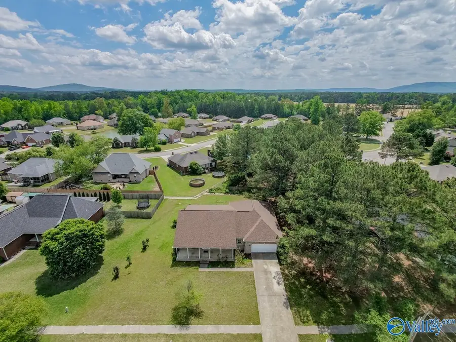 476 Wilson Mann Road, Owens Cross Roads, AL 35763 - #3