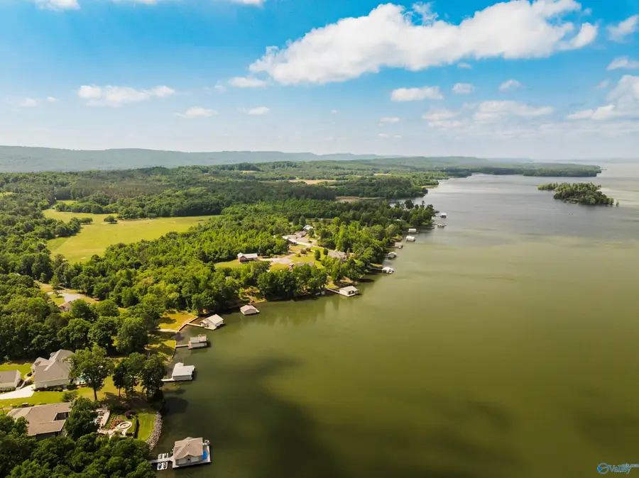 1135 Menominee Road, Langston, AL 35755 - #2