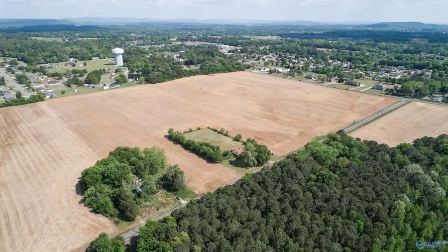 37 Acres Nick Davis Road, Harvest, AL 35749 - #3