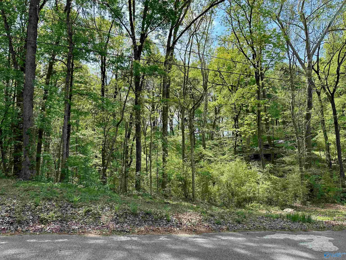 12466 Beech Fork Lane, Athens, AL 35611 - #1