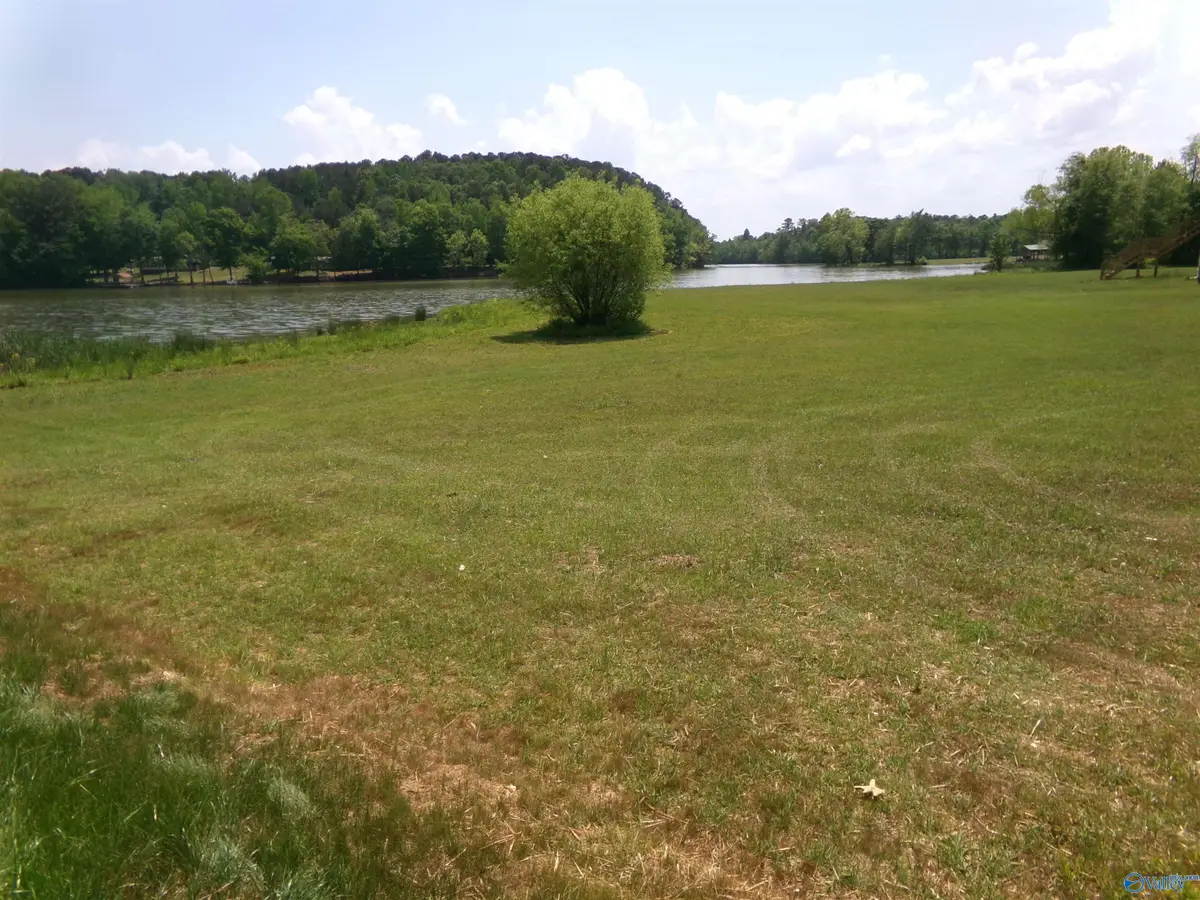 Lot 11 County Road 1057, Cedar Bluff, AL 35959 - #1