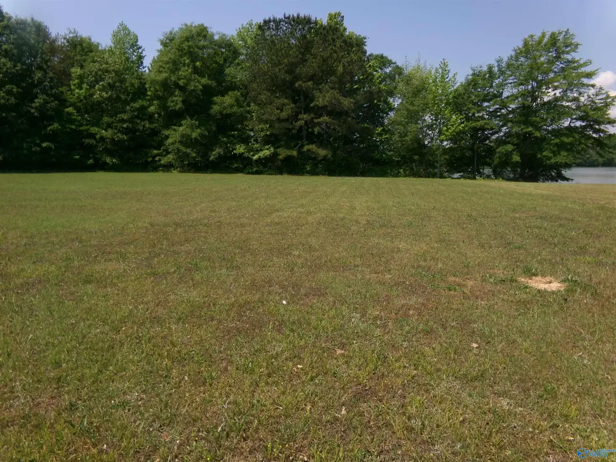 Lot 23 County Road 1057, Cedar Bluff, AL 35959 - #1