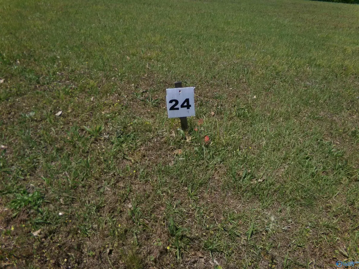 Lot 24 County Road 1057, Cedar Bluff, AL 35959 - #1