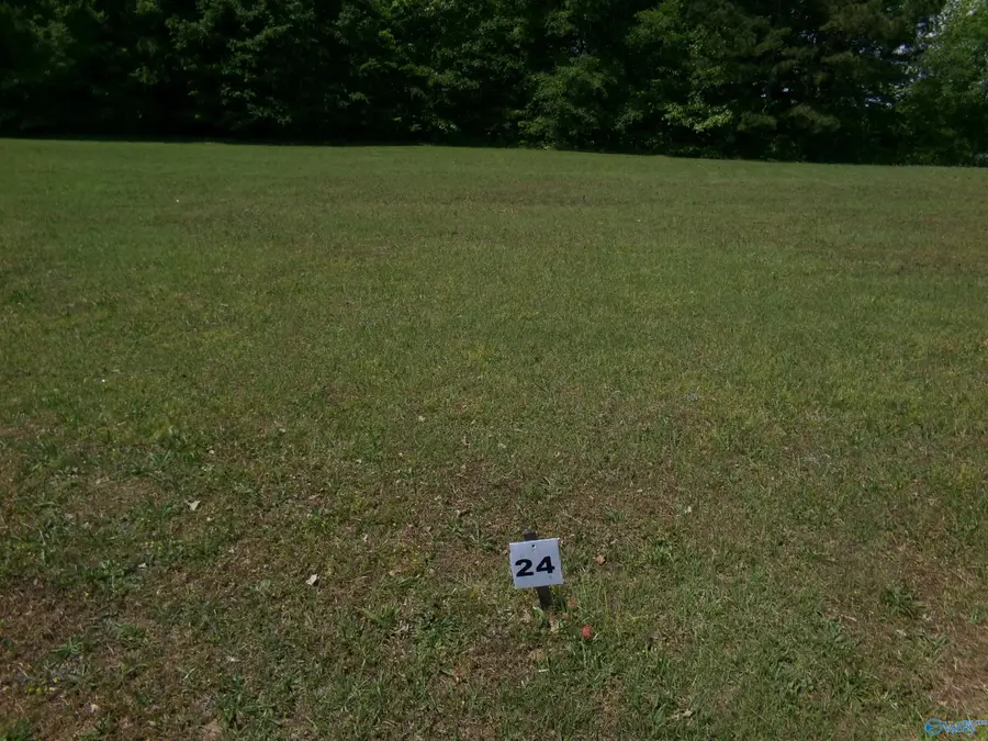 Lot 24 County Road 1057, Cedar Bluff, AL 35959 - #3