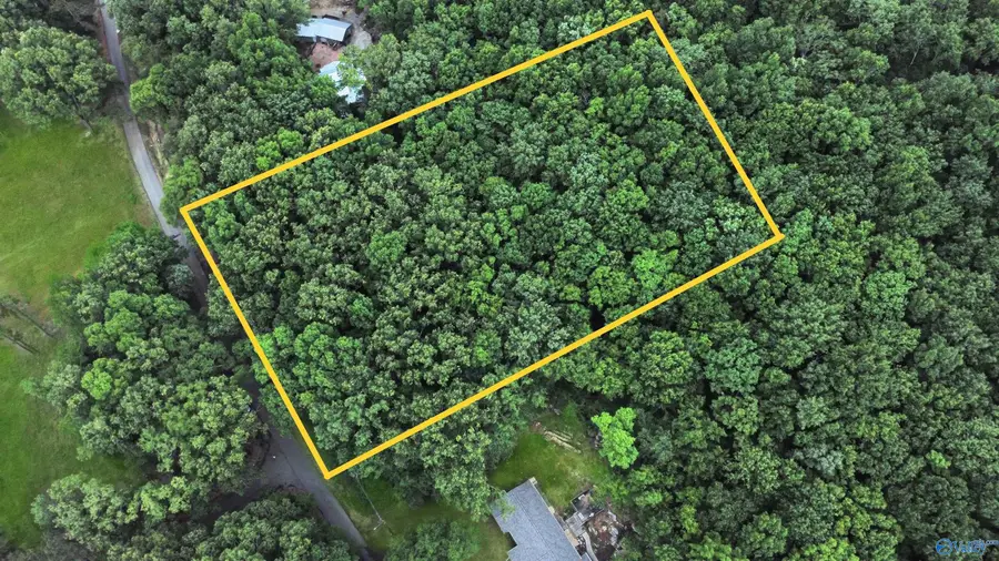 210 George Byrd Drive, Owens Cross Roads, AL 35763 - #2