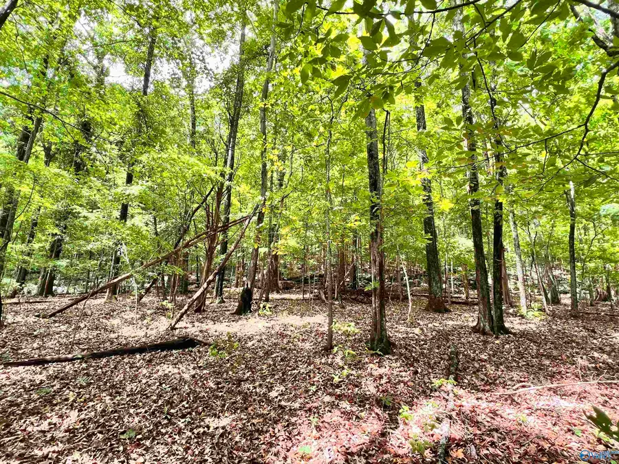 210 George Byrd Drive, Owens Cross Roads, AL 35763 - #3