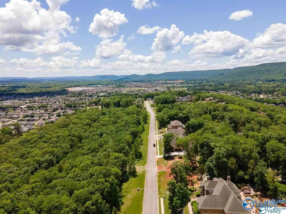7037 Ridge Crest Road, Owens Cross Roads, AL 35763 - #1