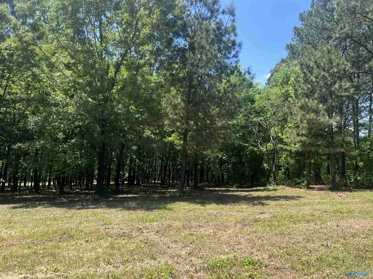 Lot 1 County Road 1009, Cedar Bluff, AL 35959 - #1