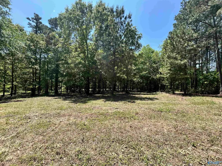 Lot 1 County Road 1009, Cedar Bluff, AL 35959 - #2