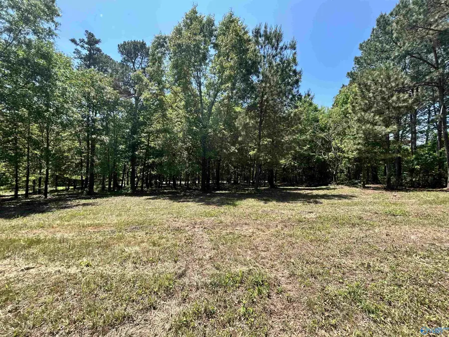 Lot 1 County Road 1009, Cedar Bluff, AL 35959 - #3