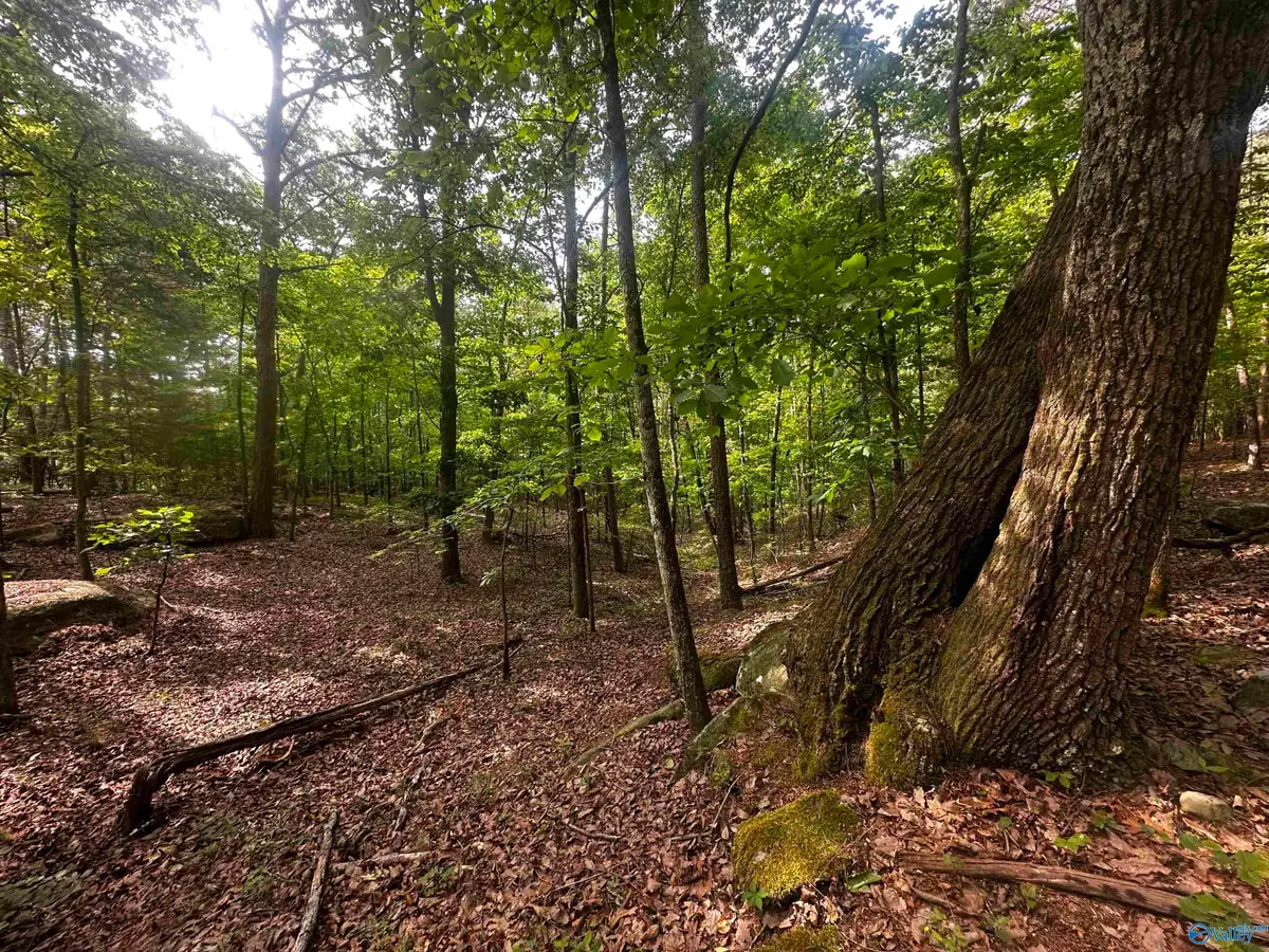 4.4 acres Wooten Road, Grant, AL 35747 - #1