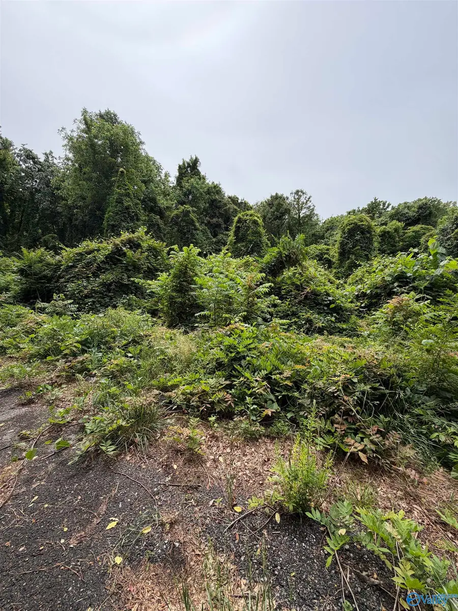 .60 +/- Lot E Mccoy Street, Guntersville, AL 35976 - #2