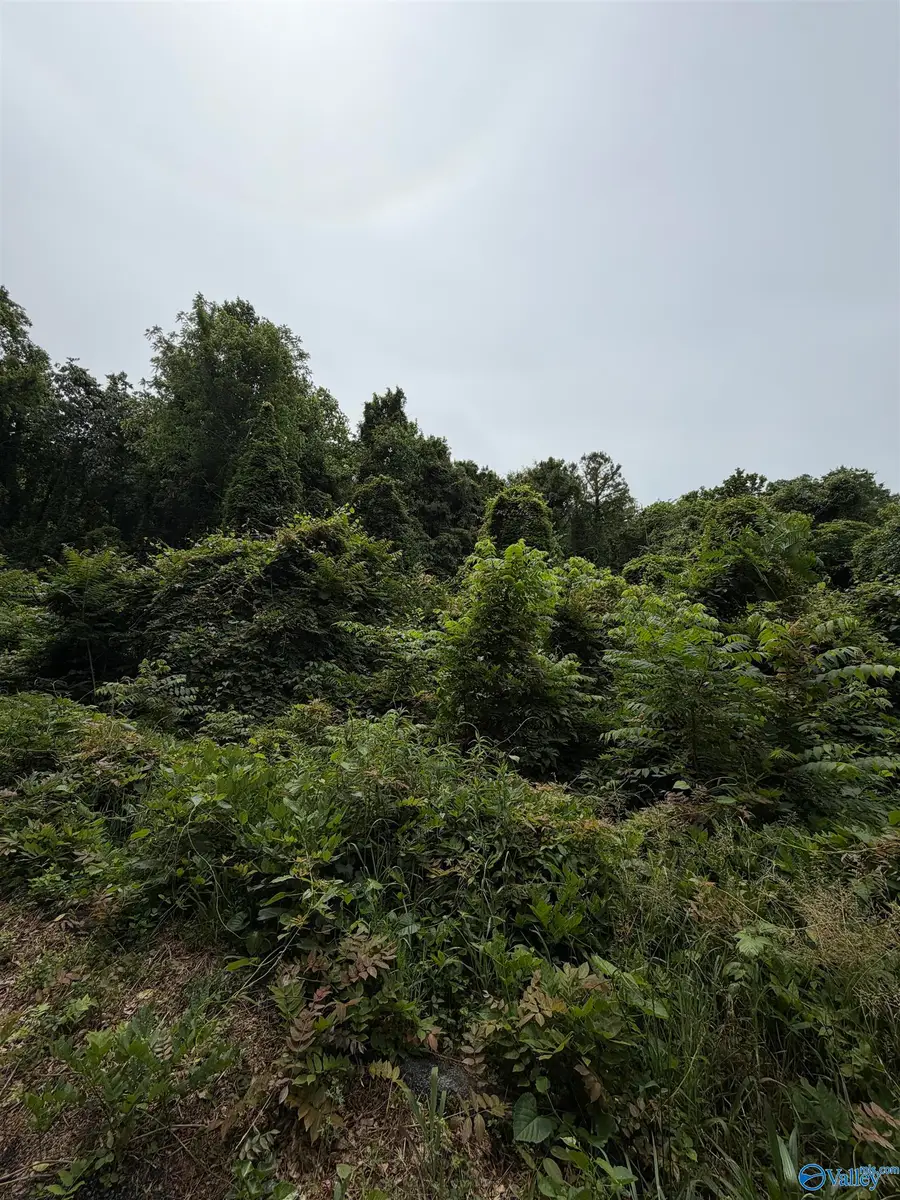 .60 +/- Lot E Mccoy Street, Guntersville, AL 35976 - #3