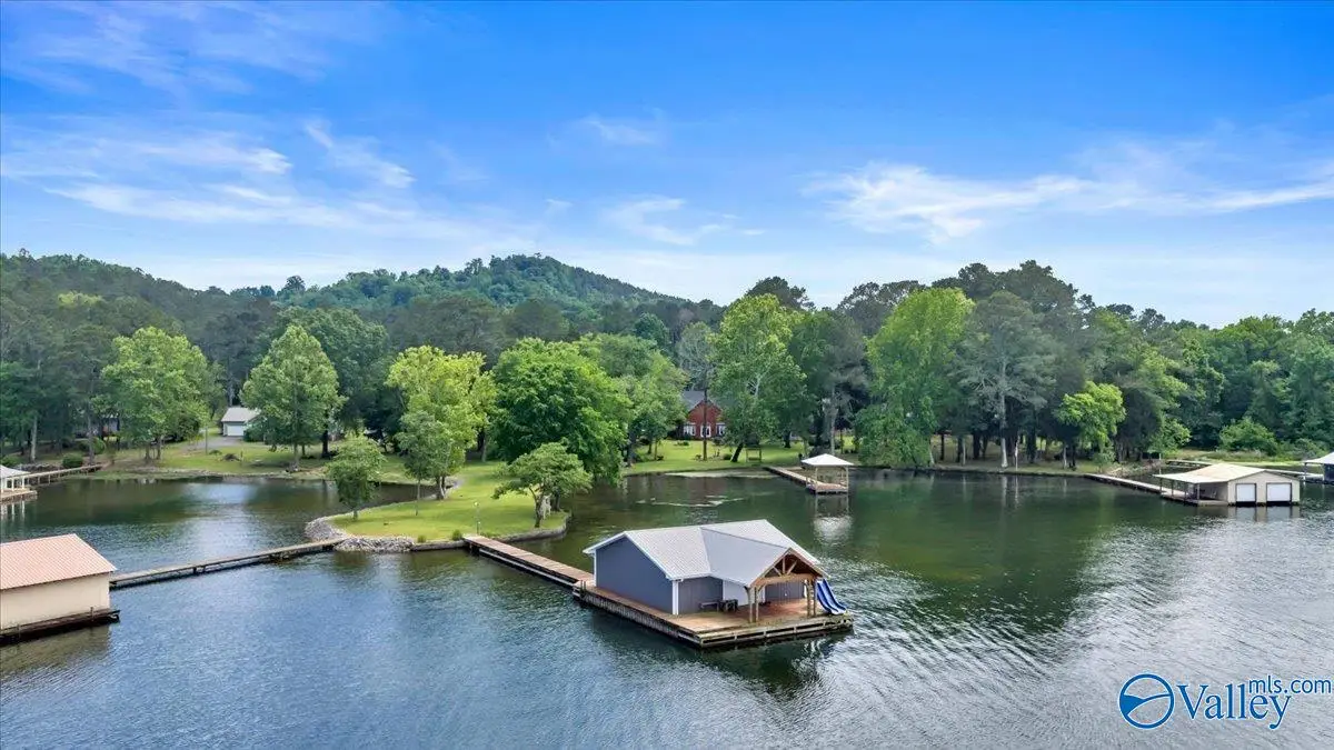 1788 Lakeshore Drive, Langston, AL 35755 - #1