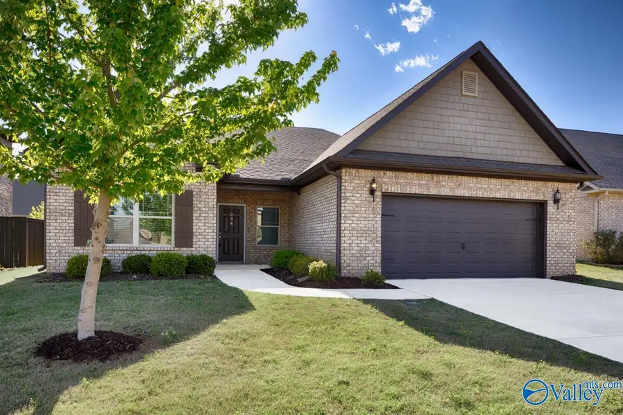 238 Portrait Street, Meridianville, AL 35759 - #3
