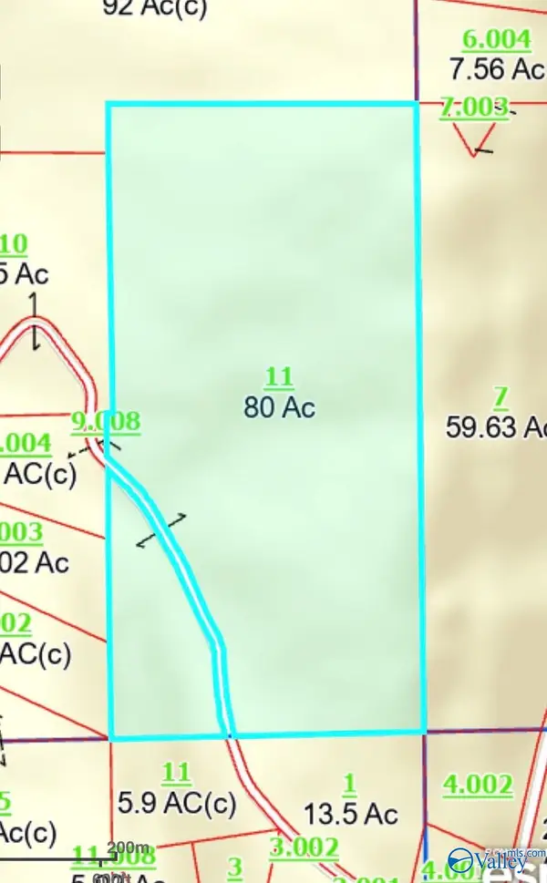 80 AC Lackey Gap Road, Collinsville, AL 35961
