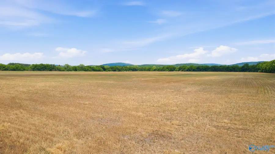 35 acres Thomas Lane, Grant, AL 35747 - #2