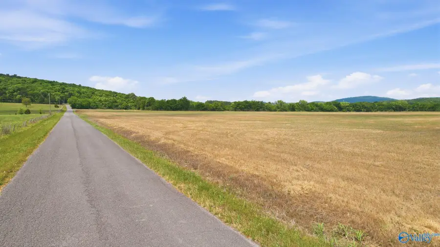 35 acres Thomas Lane, Grant, AL 35747 - #3