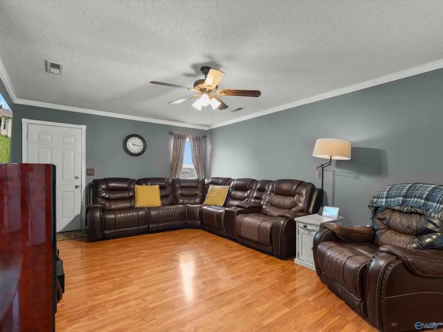 160 Sophia Drive, Toney, AL 35773 - #2