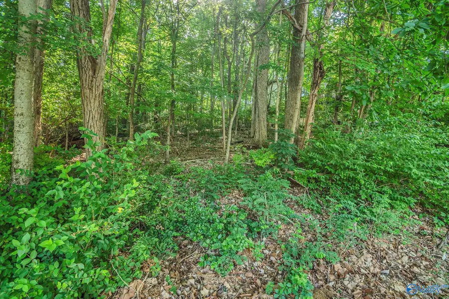2108 Orba Drive Ne, Huntsville, AL 35811 - #3
