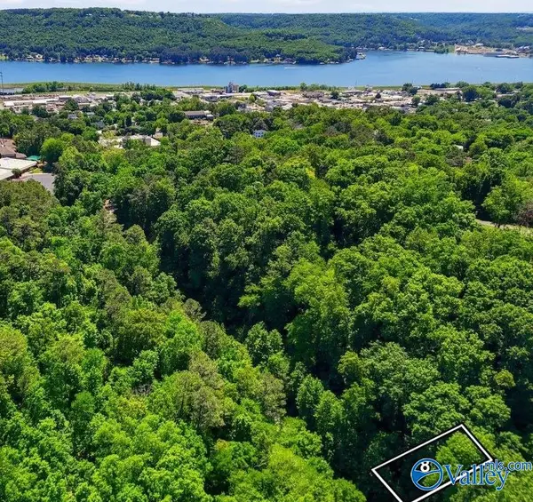 Lot 8 Lusk Street, Guntersville, AL 35976