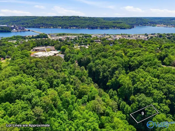 Lot 9 Lusk Street, Guntersville, AL 35976