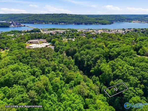 Lot 10 Lusk Street, Guntersville, AL 35976