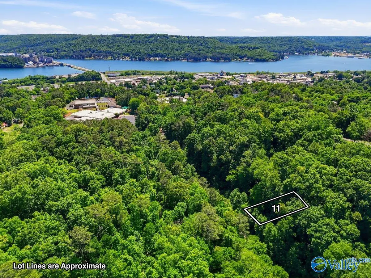 Lot 11 Lusk Street, Guntersville, AL 35976 - #1