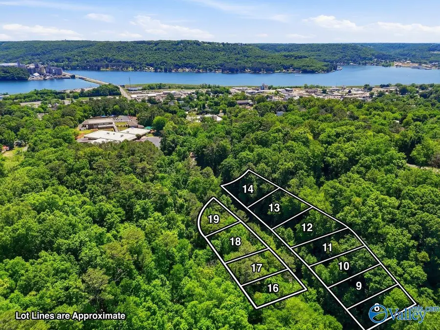 Lot 12 Lusk Street, Guntersville, AL 35976 - #2