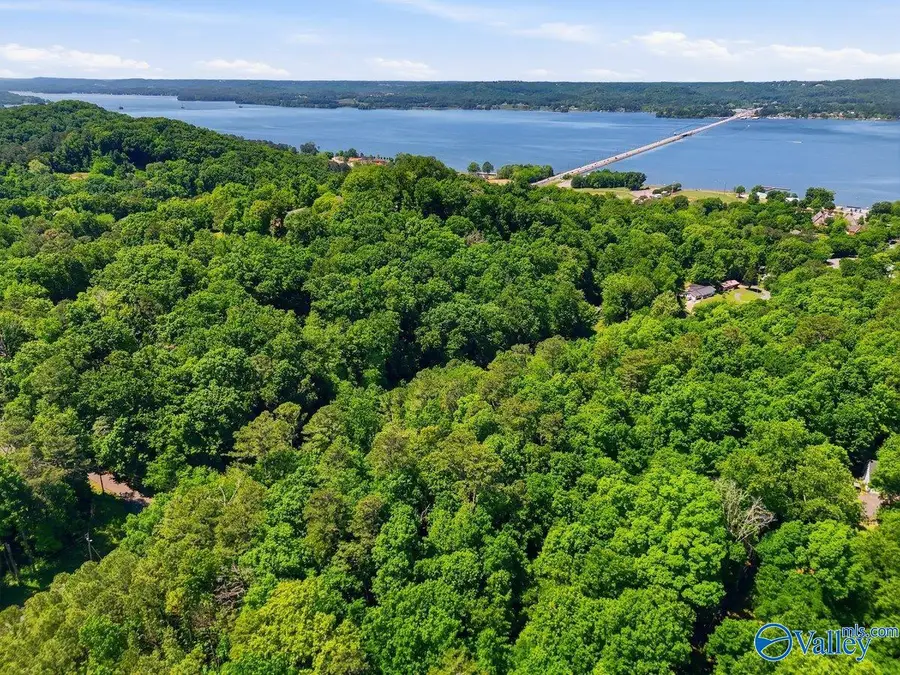 Lot 12 Lusk Street, Guntersville, AL 35976 - #3