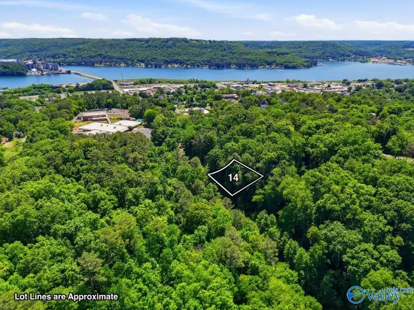 Lot 14 Lusk Street, Guntersville, AL 35976