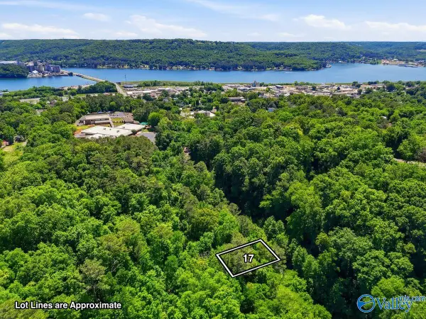 Lot 17 Lusk Street, Guntersville, AL 35976