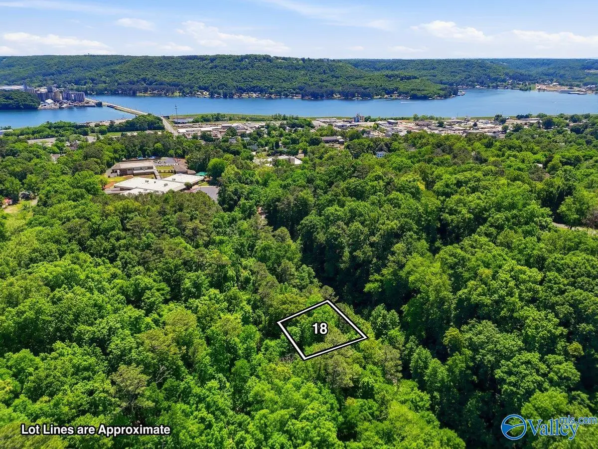 Lot 18 Lusk Street, Guntersville, AL 35976 - #1